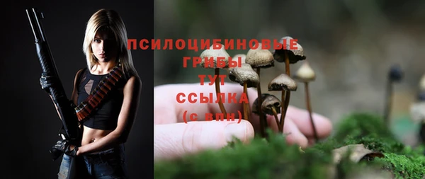 PSILOCYBIN Ростов