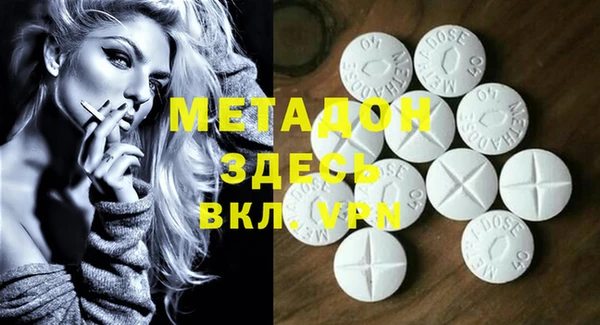 прущие грибы Вязьма