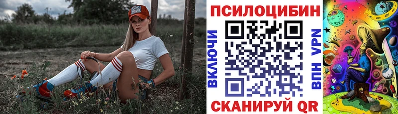где купить наркоту  гидра   Псилоцибиновые грибы MAGIC MUSHROOMS  Завитинск 